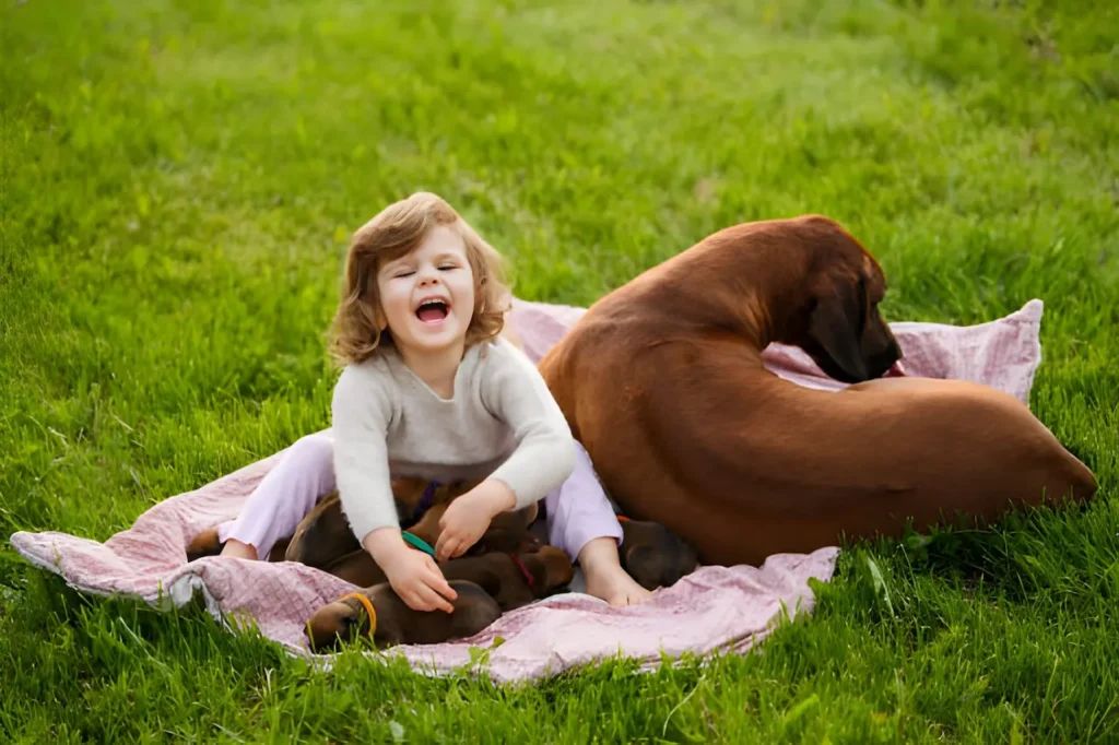 Rhodesian Ridgeback safely playing with children showing family dog temperament